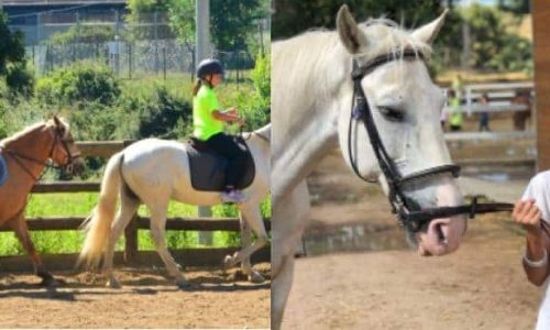 Centelles Horse Riding Camp