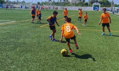 FICHA BC PRINCIPAL 2026