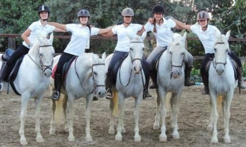 GranjeroHipicoGranada (1)