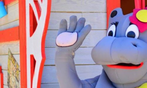 MULTIACTIVIDADES-MINI (7)