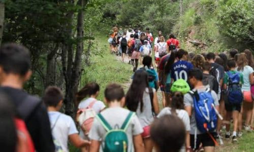 MultiaventuraNavarredonda (1)