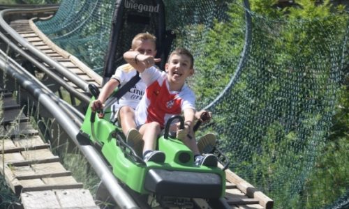 Sierra Nevada English Camp