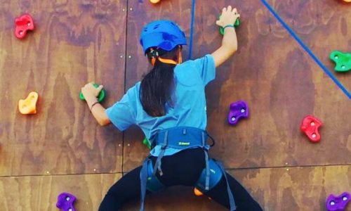 multi camp destacada