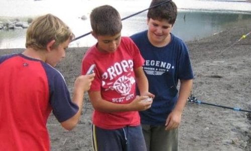 pescamosca destacada