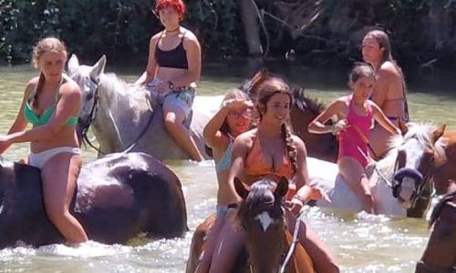 valladolid destacada